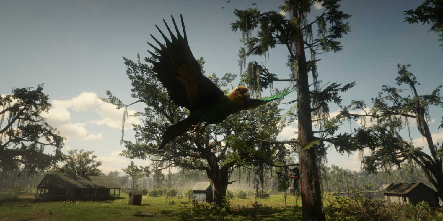 Parrot Rdr2 Red Dead Redemption 2: Hidden Secrets You Haven't Found