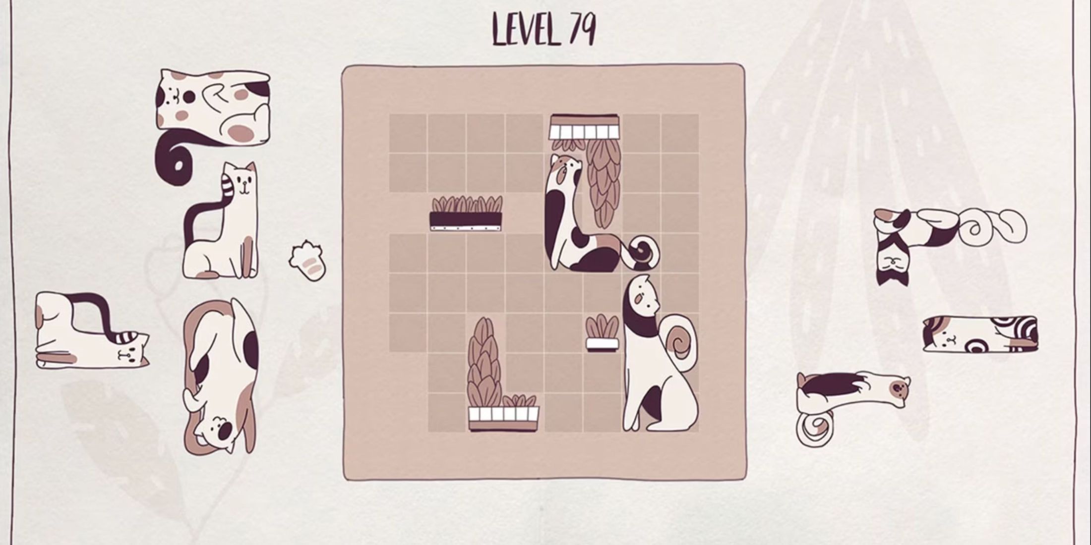 cats organized neatly(1)