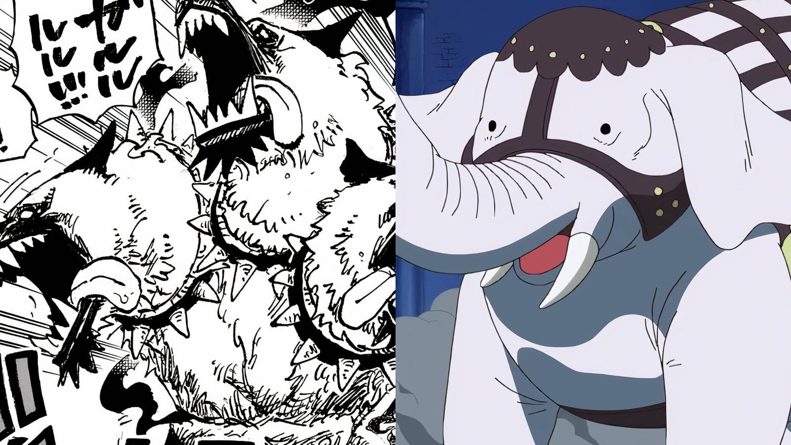 Cerberus Funkfreed One Piece