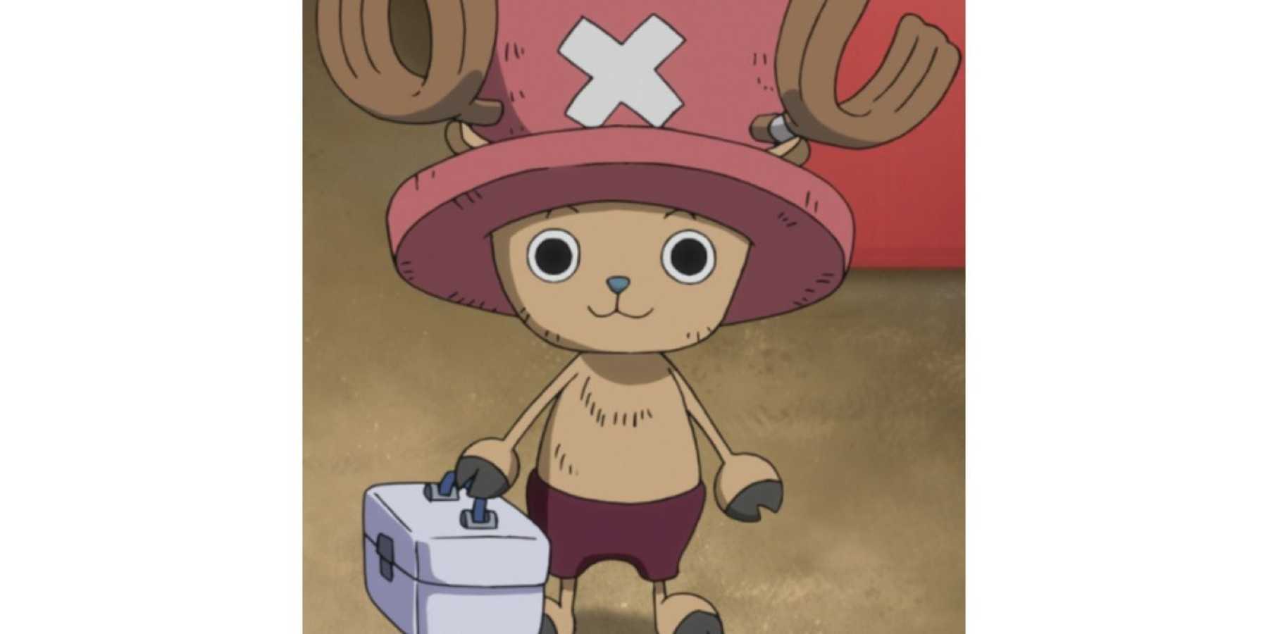 Chopper Unconrollable Rumble One Piece: The Rumble Balls, Explained