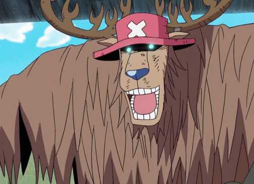 Chopper Unconrollable Rumble One Piece: The Rumble Balls, Explained