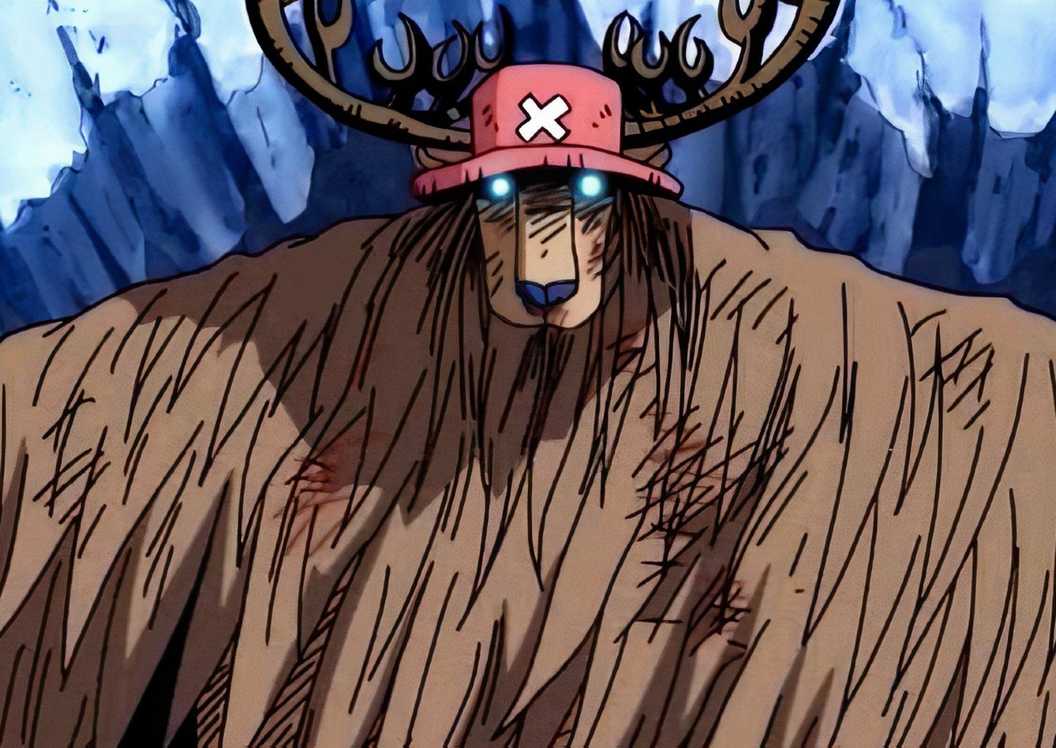 Chopper Rumble One Piece: The Rumble Balls, Explained