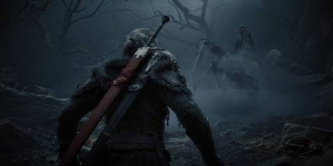 Ciri approaching a monster in The Witcher 4