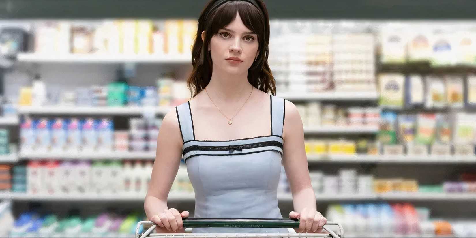 companion in the store