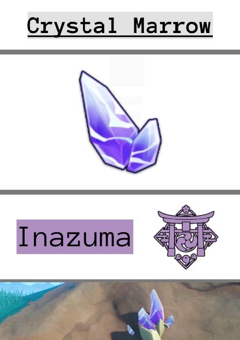 Crystal Marrow and the inazuman emblem 