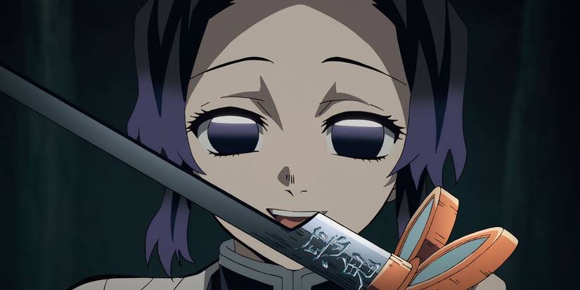 demon-slayer-shinobu-meets-nezuko