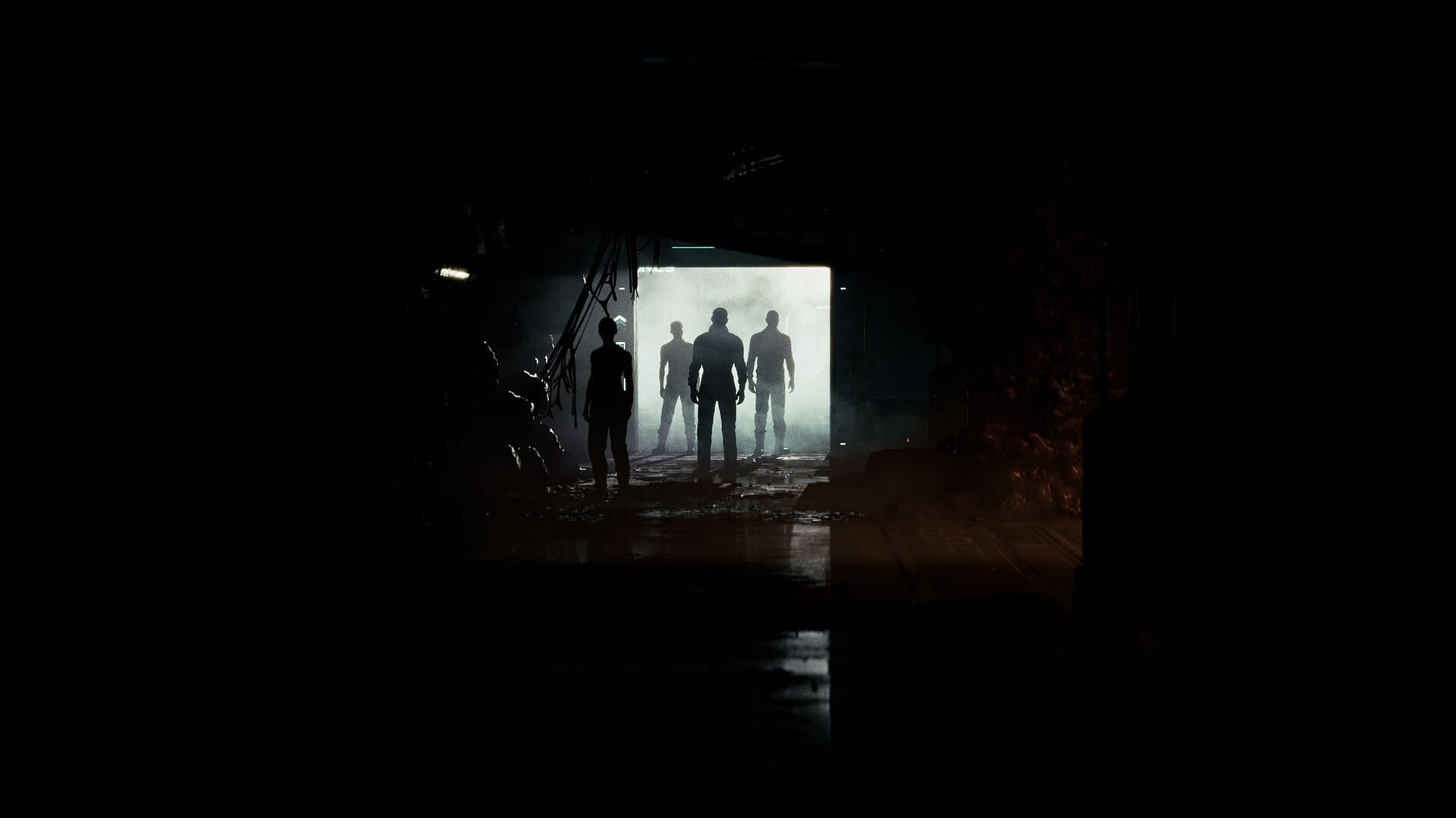 Directive 8020 Press Image 3