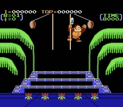 Donkey Kong 3 NES Image 2