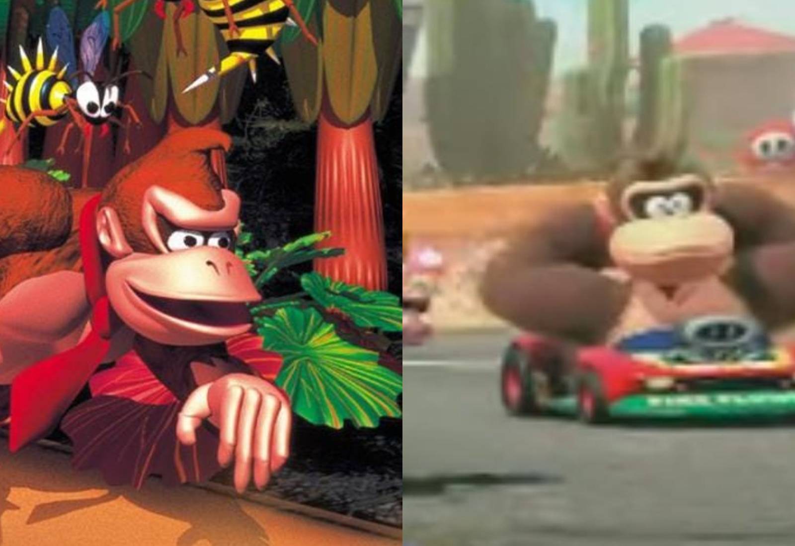 Orlinski Kong Notice Fan-made Donkey Kong Country En Français - Manuel Orlinski Kong Notice Fan-made Donkey Kong Country En Français - Manuel