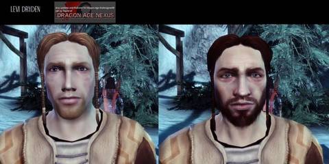 dragon age origins levi