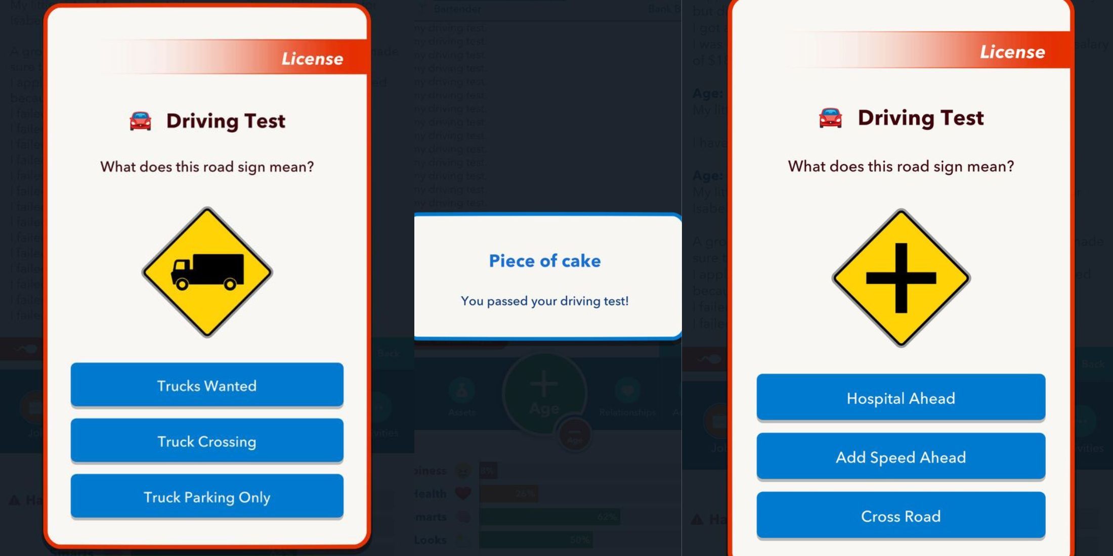 driving test answers bitlife (1)