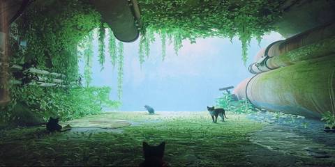 Dystopian Natural Scene in Stray