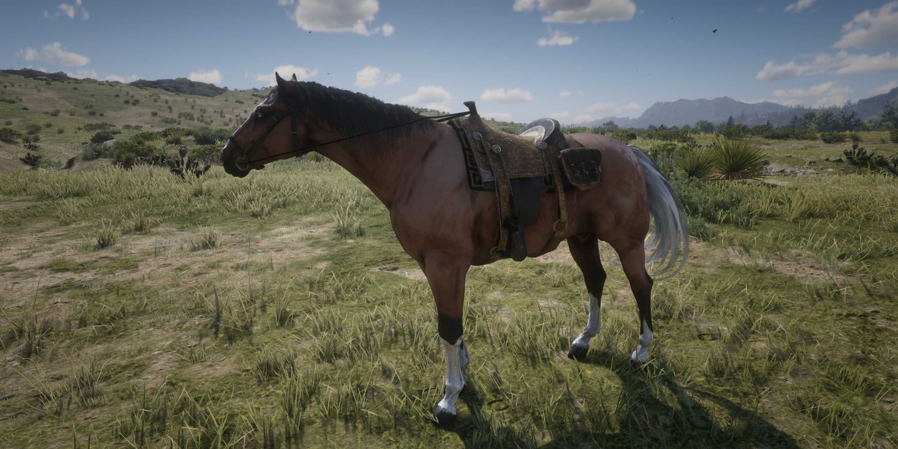 Ennis Rdr2 RDR2: Every Van der Linde Gang Horse, Ranked