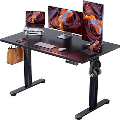 ErGear Height Adjustable Electric Standing Desk