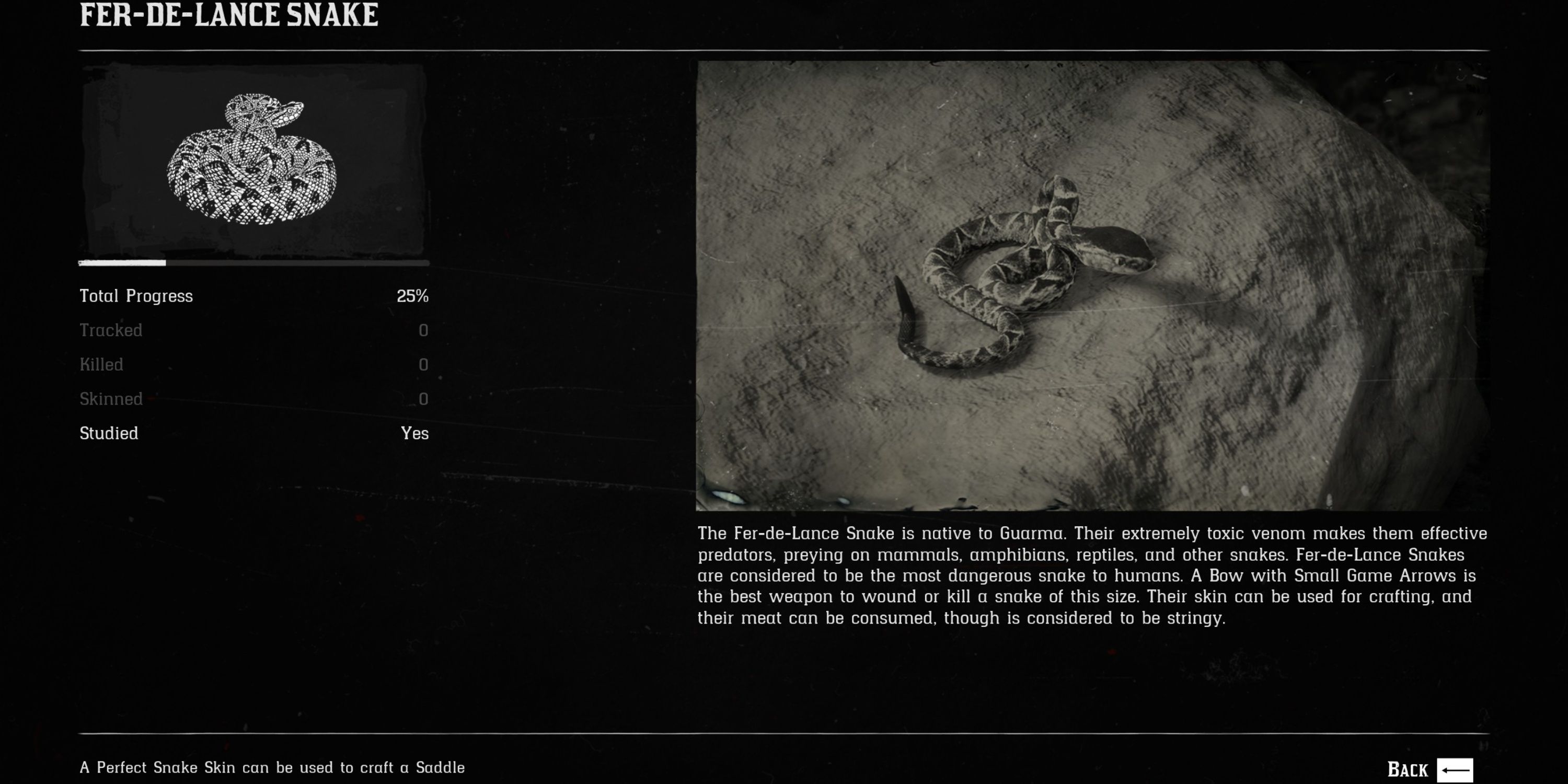 Red Dead Redemption 2: Every Guarma Animal Location