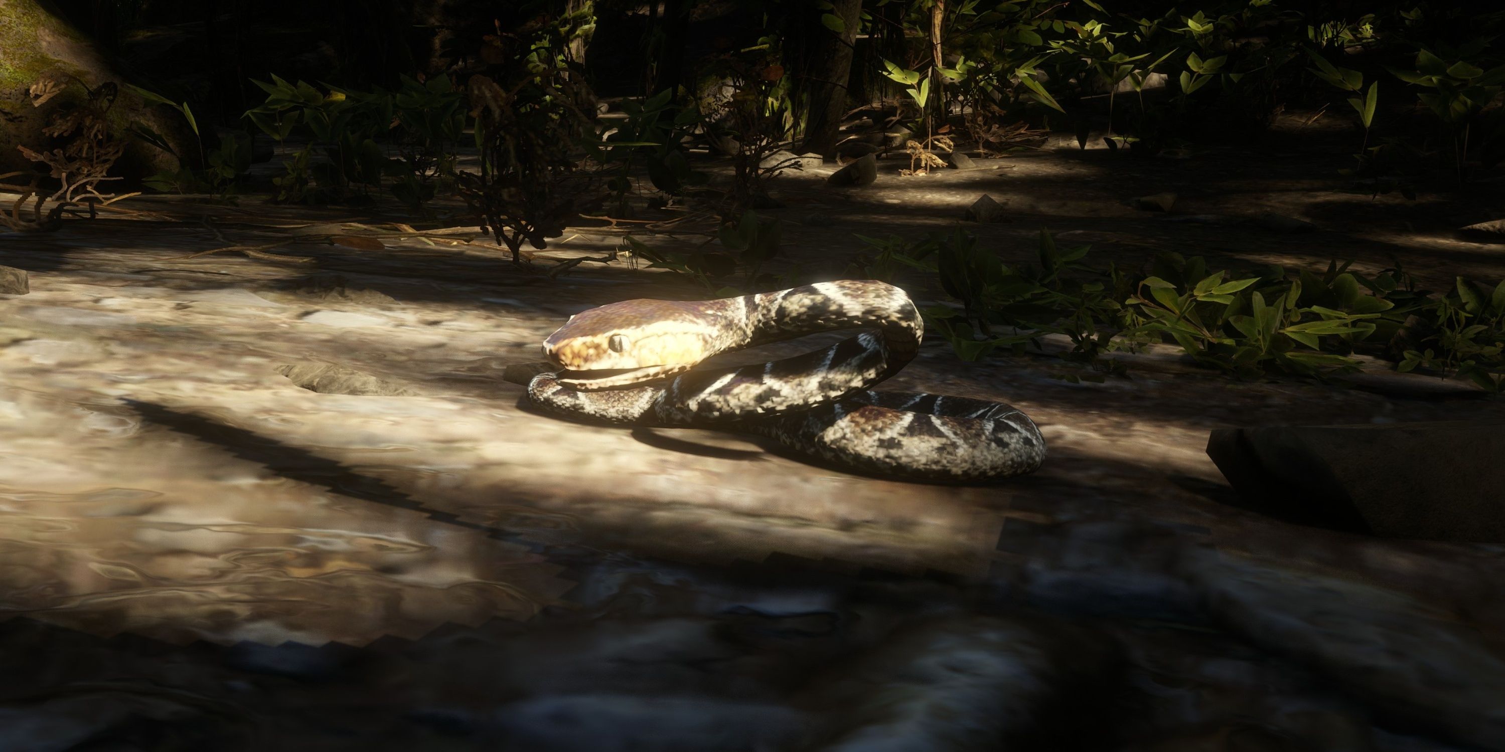 Red Dead Redemption 2: Every Guarma Animal Location