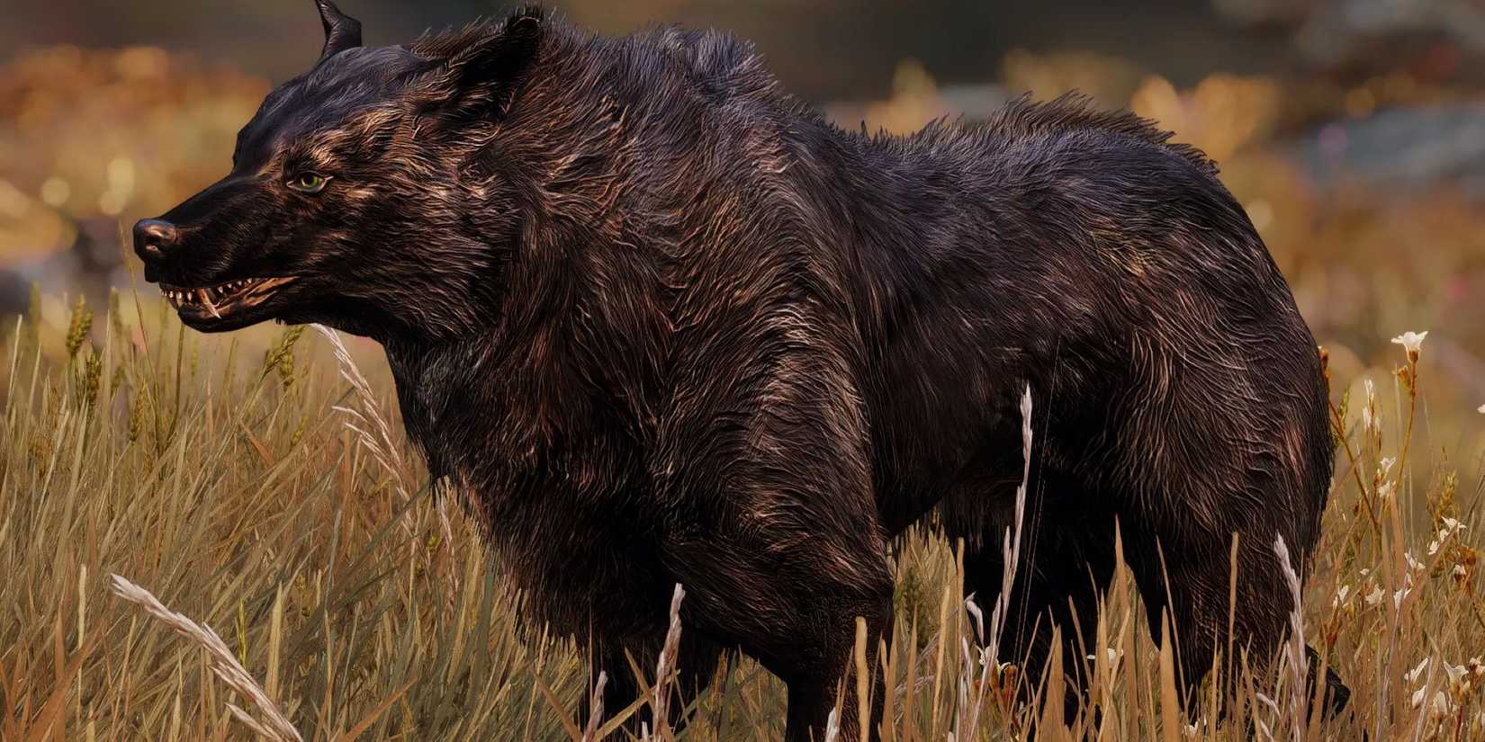 Wolf standing in grass from Forgotten Creatures mod