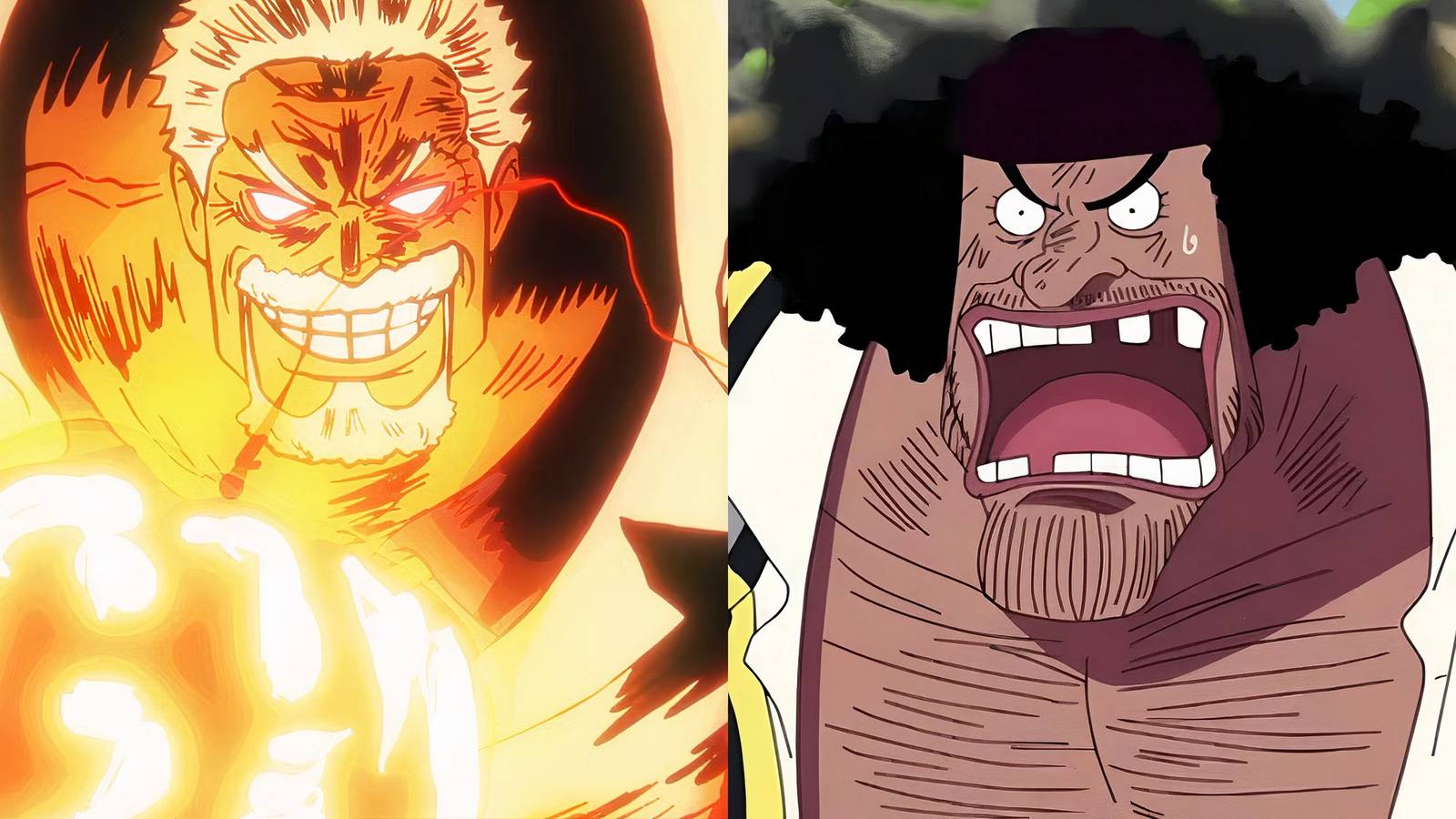 Garp Blackbeard One Piece