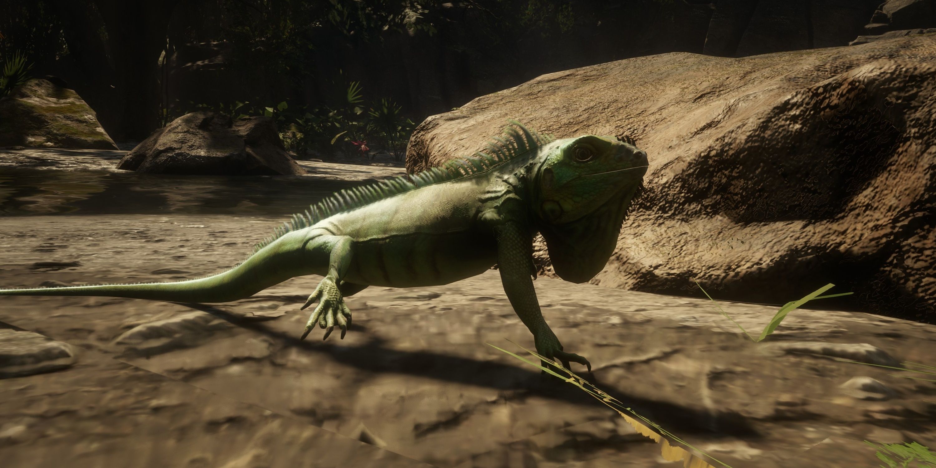 Red Dead Redemption 2: Every Guarma Animal Location