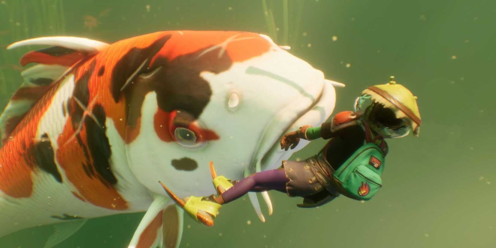 Koi fish swimming towards player