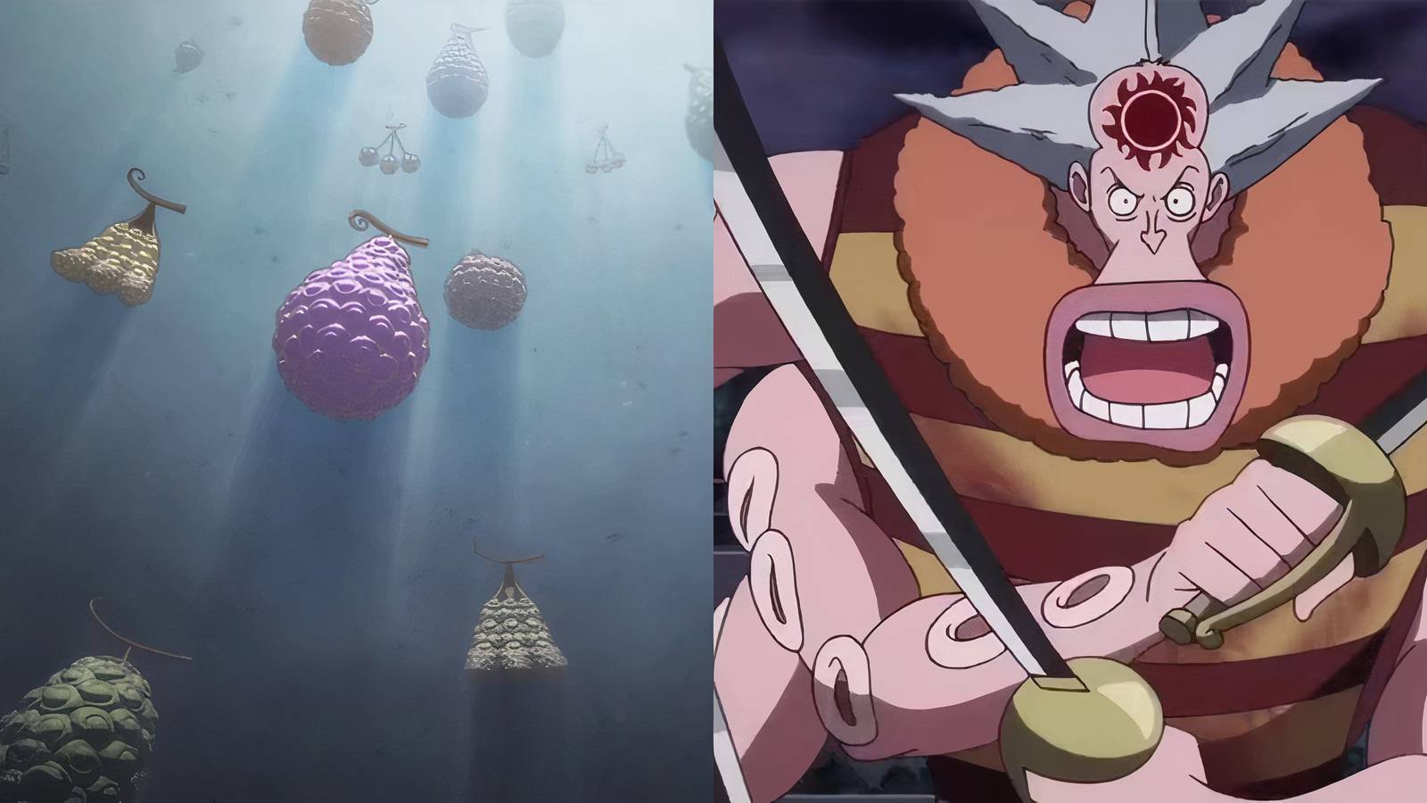 Hachi Devil Fruit One Piece