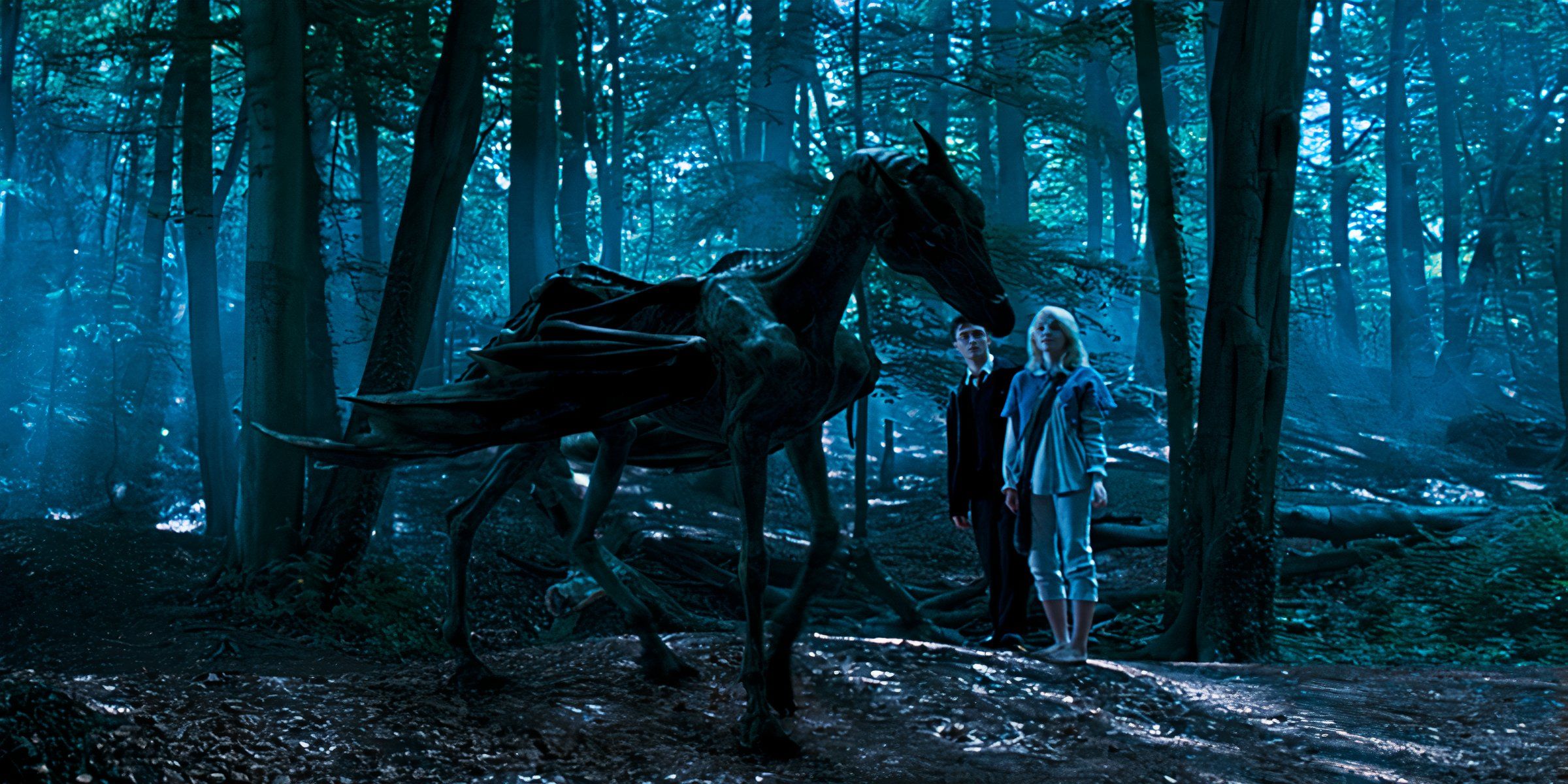 Harry Potter and the Thestral 