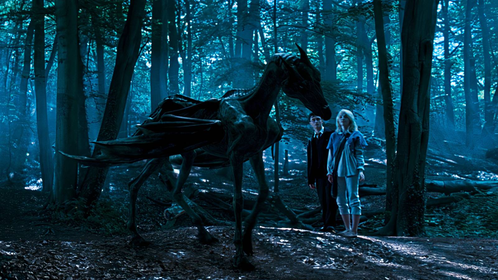 Harry Potter and the Thestral 