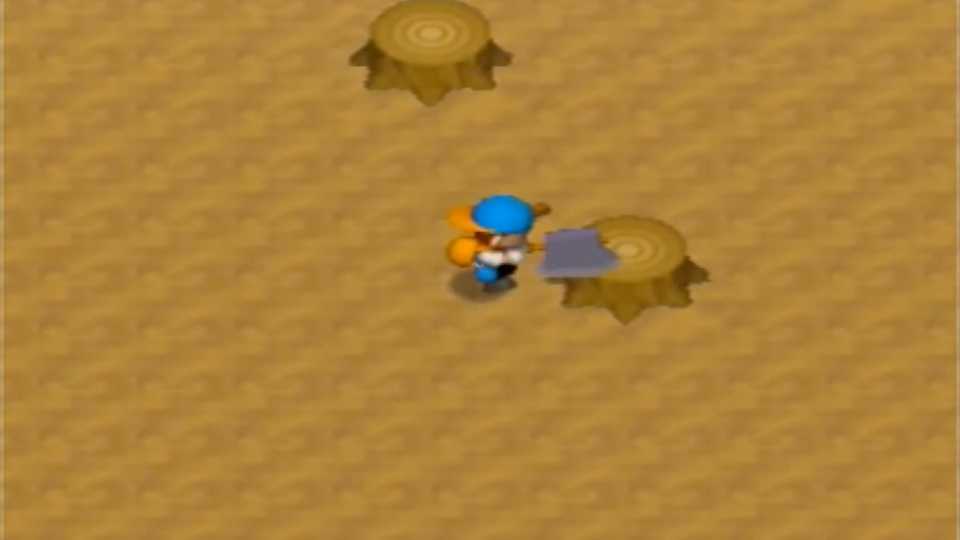 Harvest Moon 64 In Game Screenshot 5