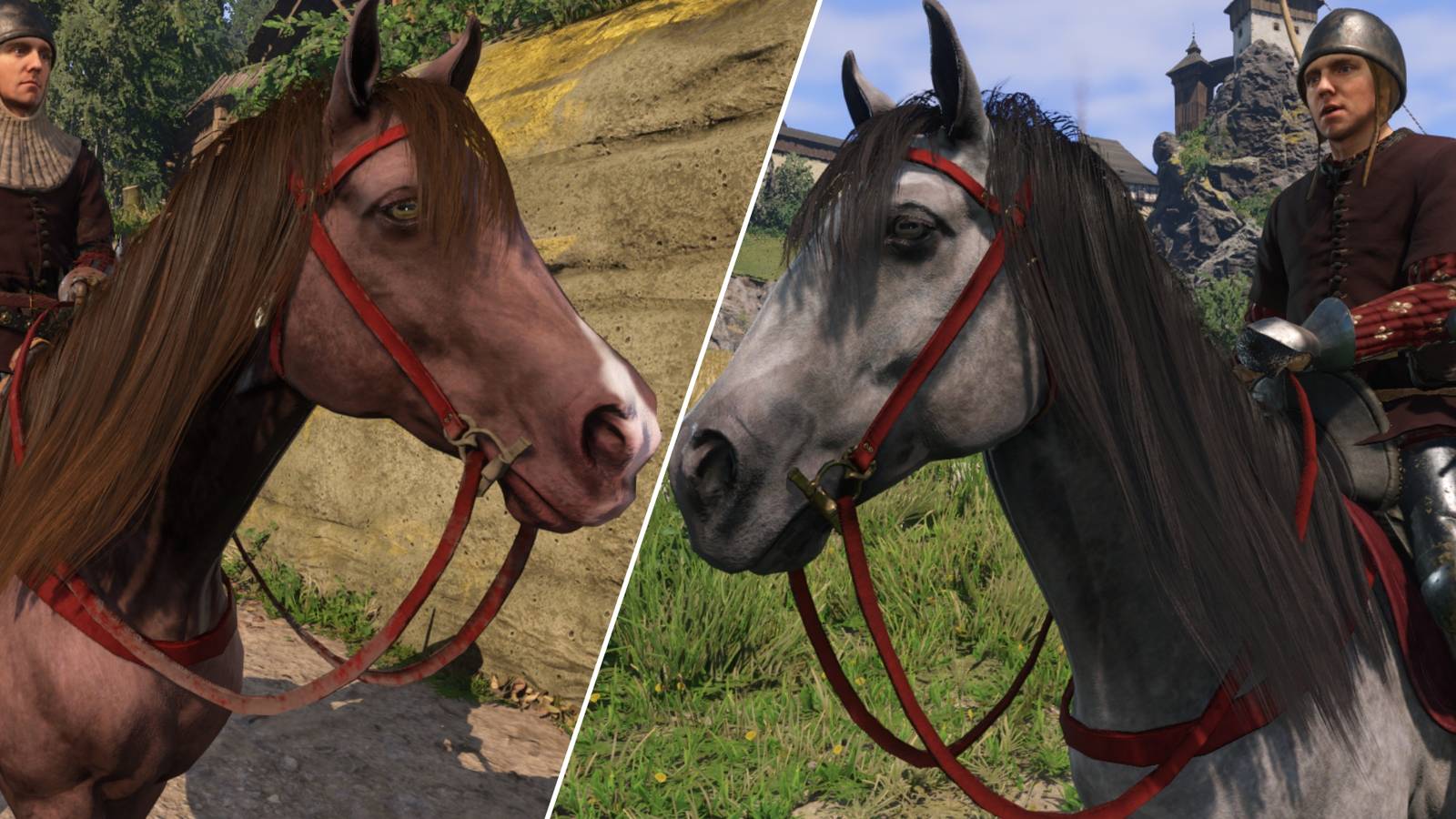 Herring and Pebbles in KCD2-1