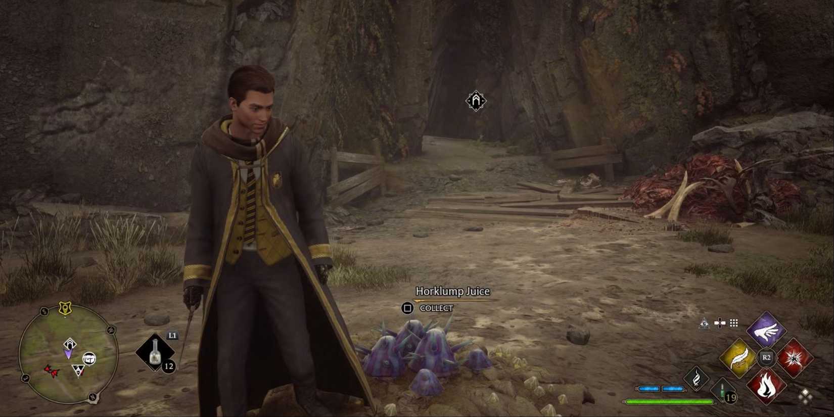 Hogwarts Legacy Horklump Juice