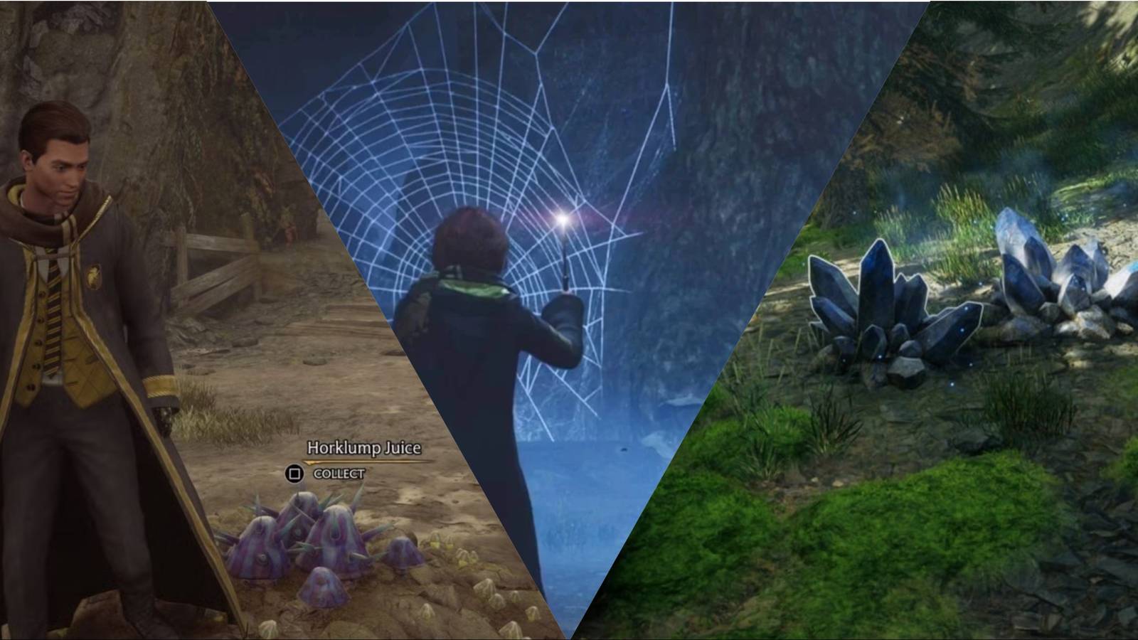 Hogwarts Legacy Potion Ingredients Feature Image