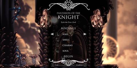 Hollow Knight Pantheon of the Knight