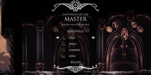 Hollow Knight Pantheon of the Master