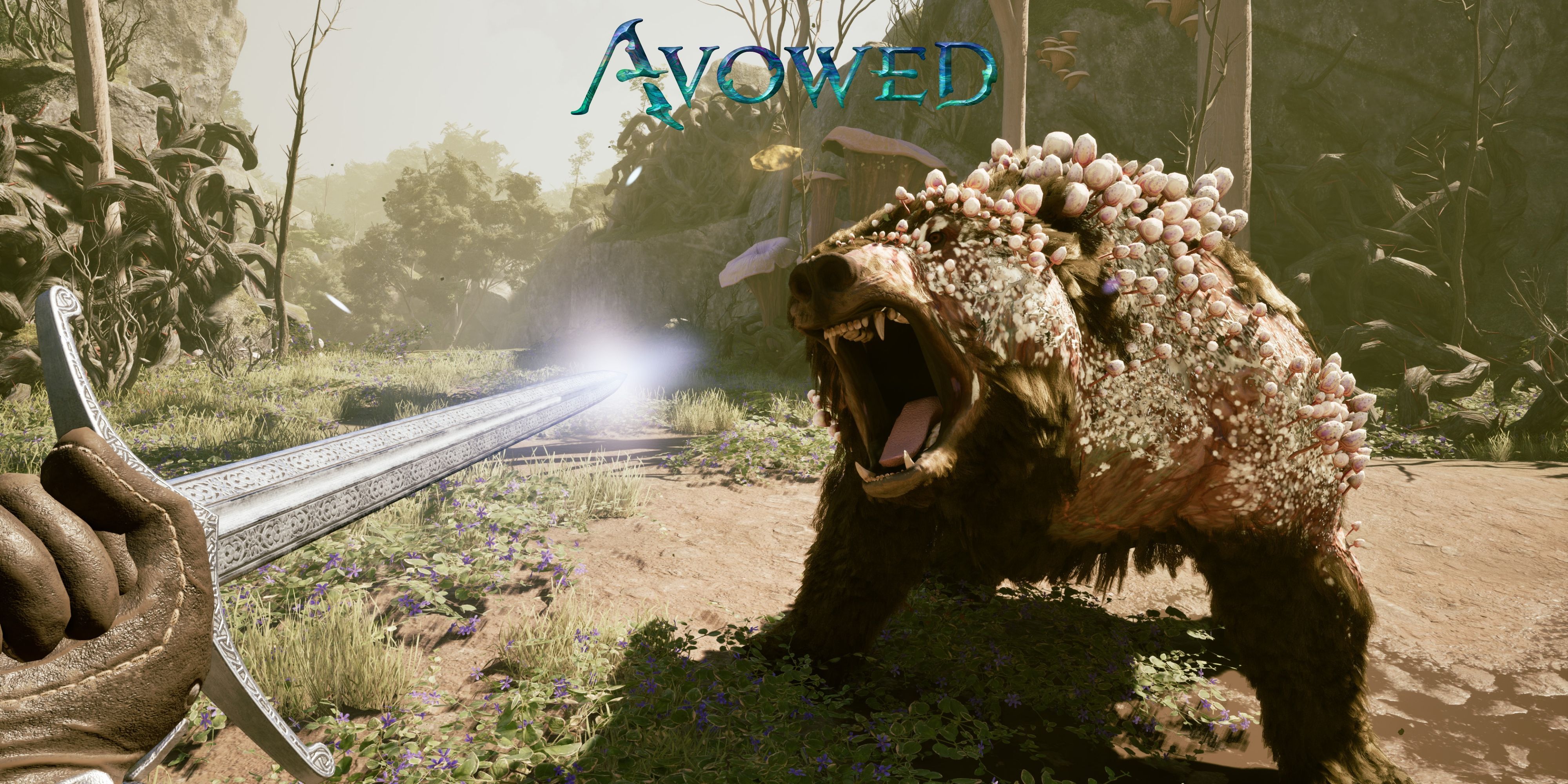 How to find beat nacib spider bounty target in avowed