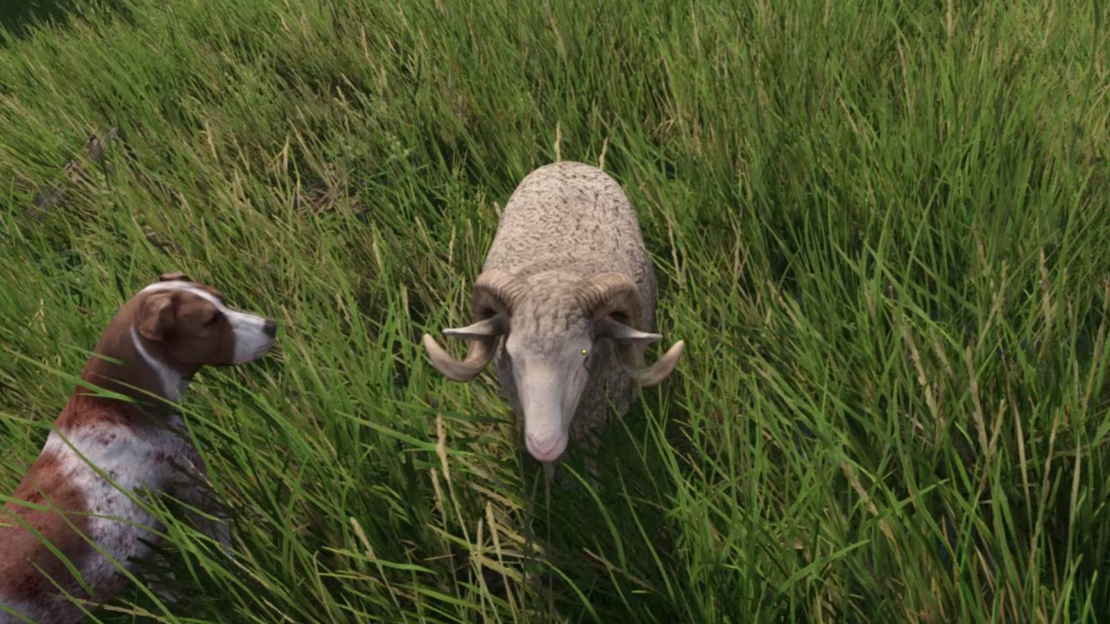 How to complete Carrot on a Stick In Kingdom Come Deliverance 2