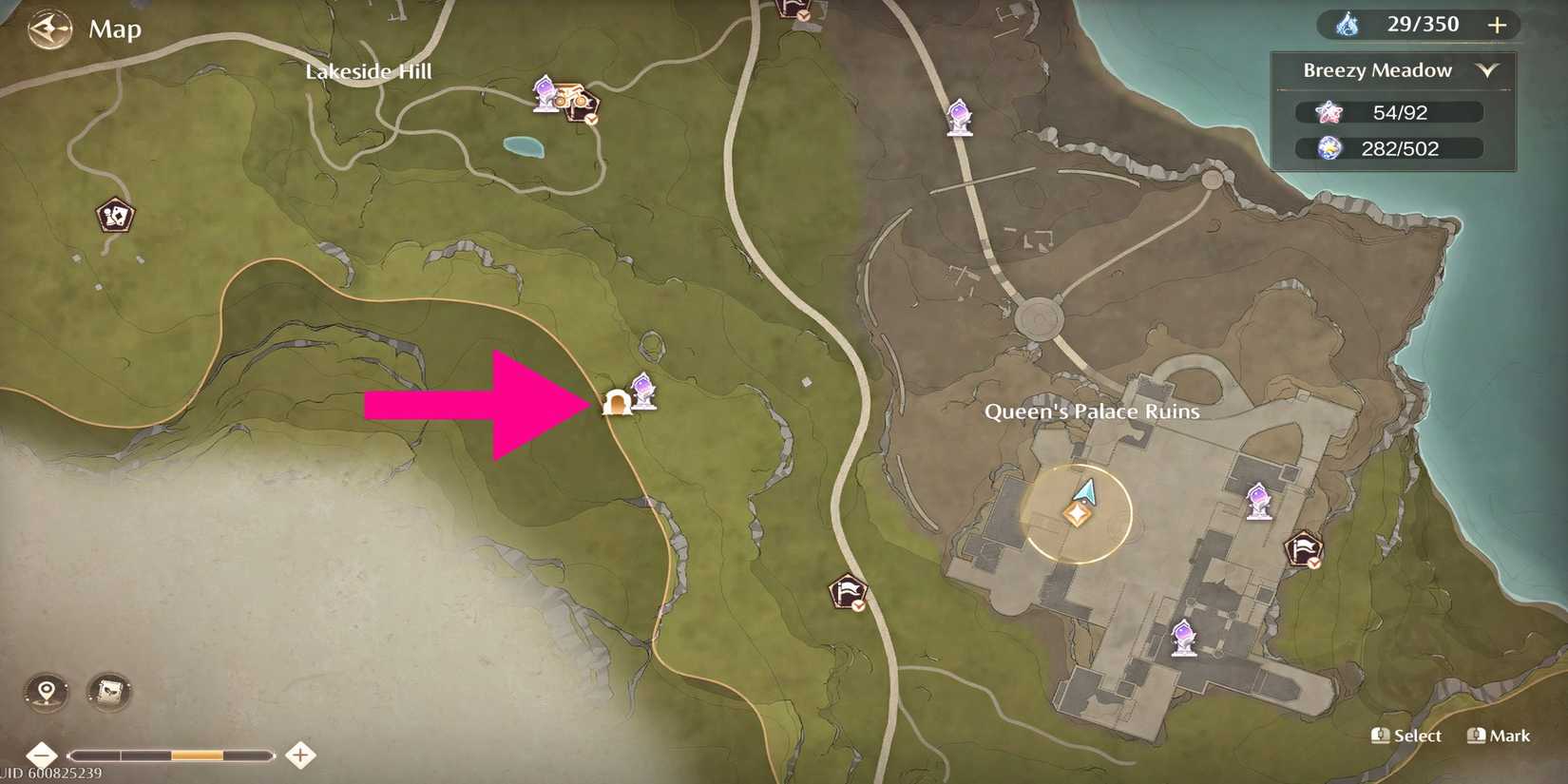 infinity-nikki-forest-cavern-location-map