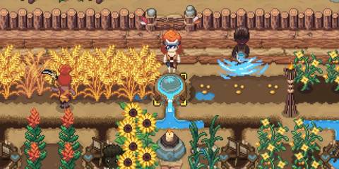 Irrigation Farming in Roots of Pacha