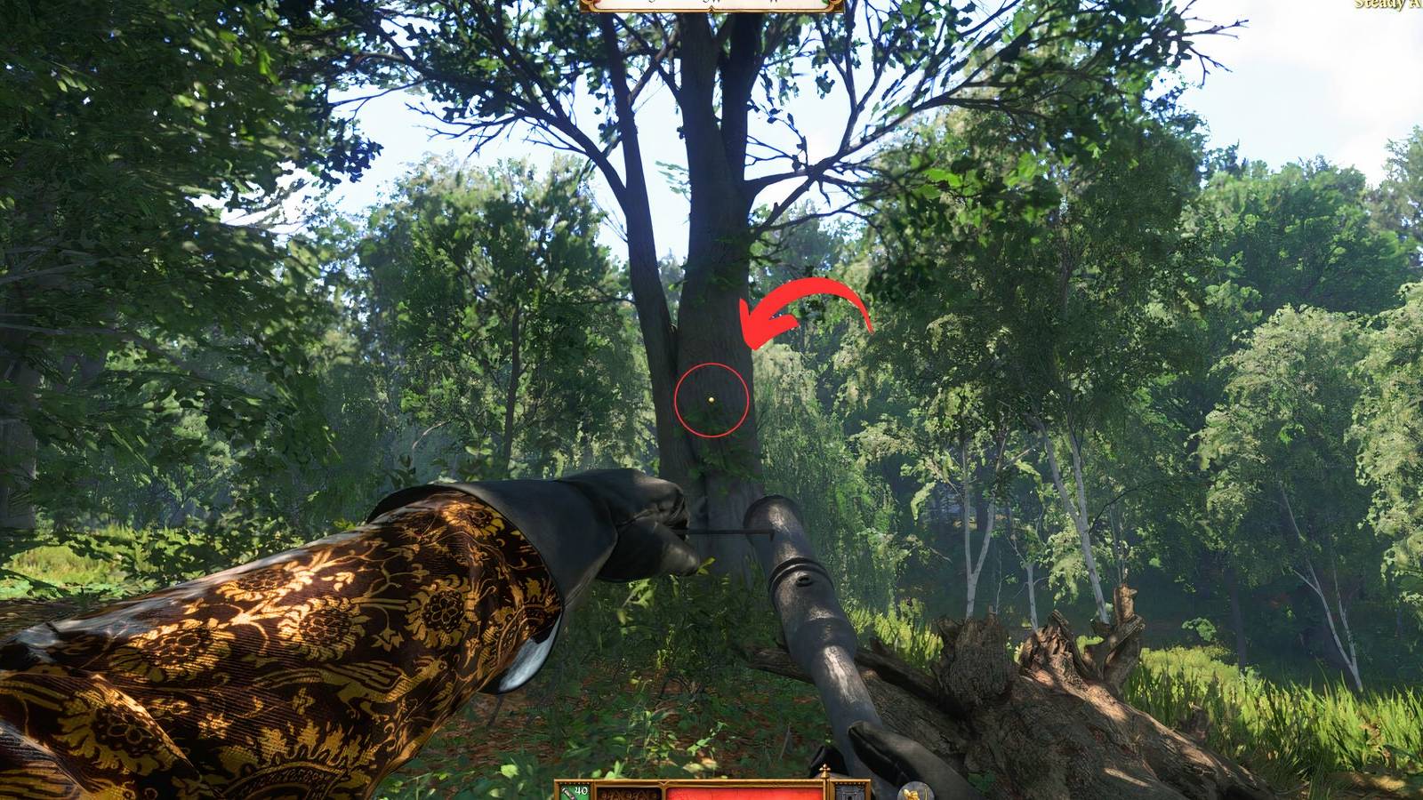 Kingdom Come Deliverance How to Keep the Aiming Dot Reticle On
