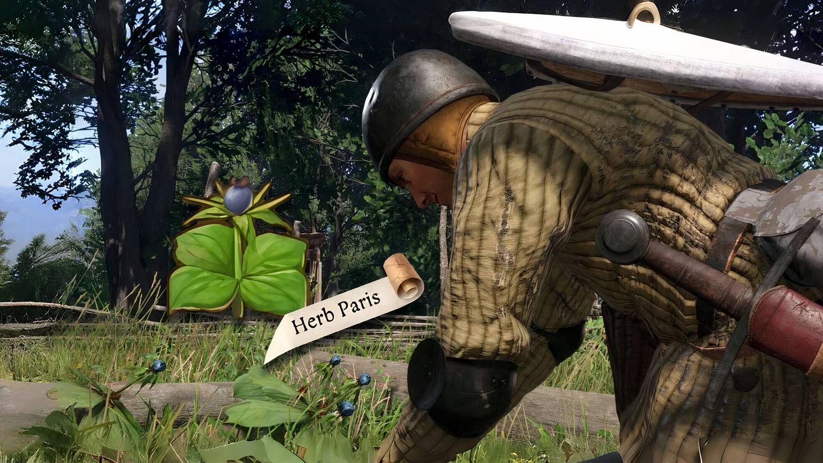 kingdom-come-deliverance-2-herb-paris-location-kcd2