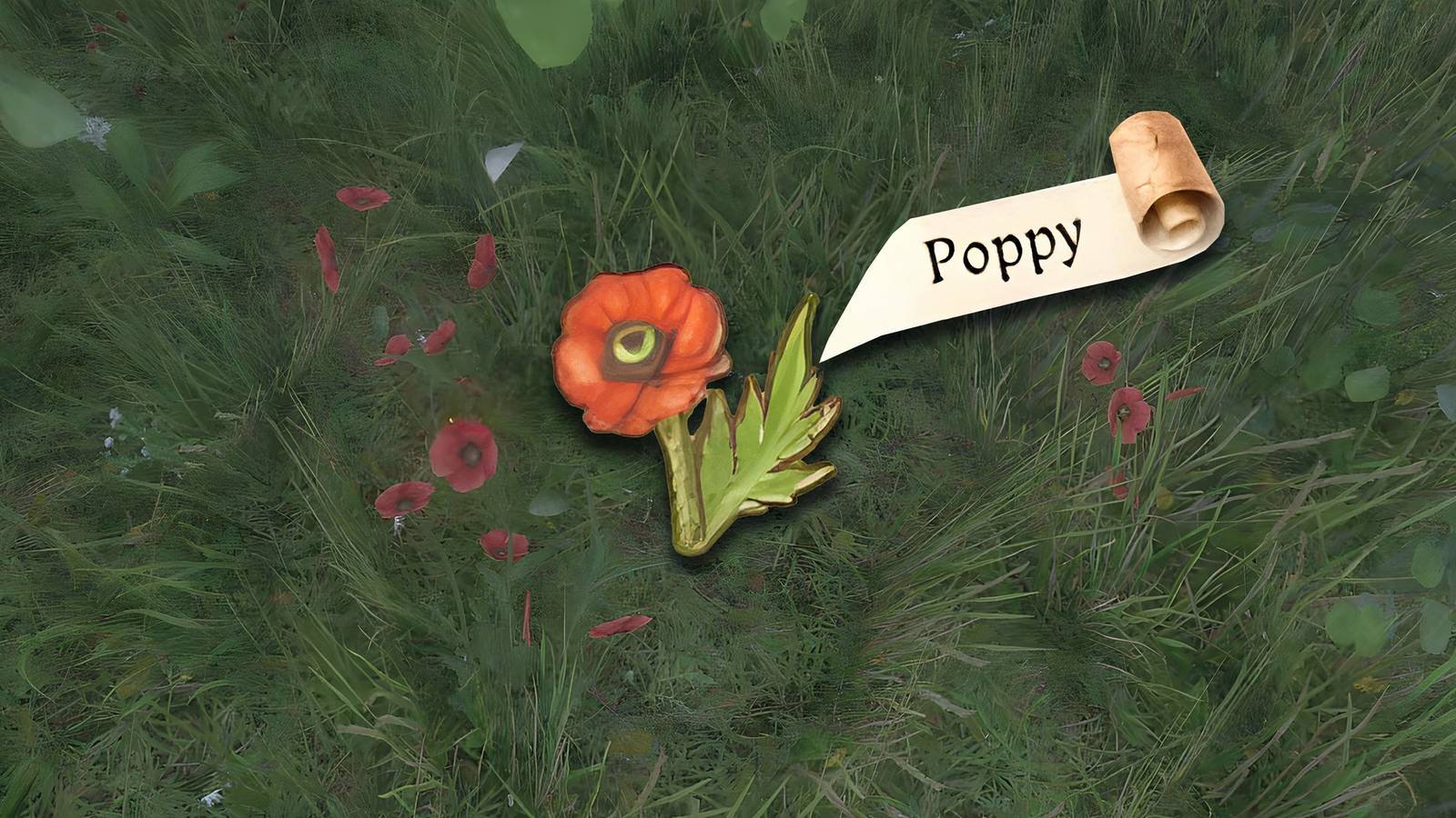 kingdom-come-deliverance-2-kcd2-how-get-poppy-locations copy