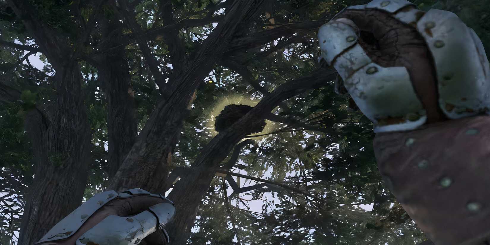 kingdom-come-deliverance-2-kcd2-how-knock-down-birds-nests-without-bow