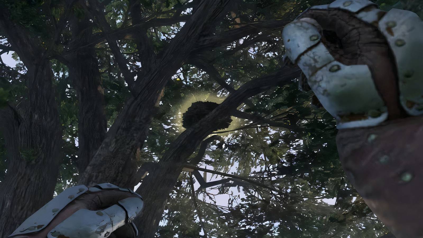 kingdom-come-deliverance-2-kcd2-how-knock-down-birds-nests-without-bow