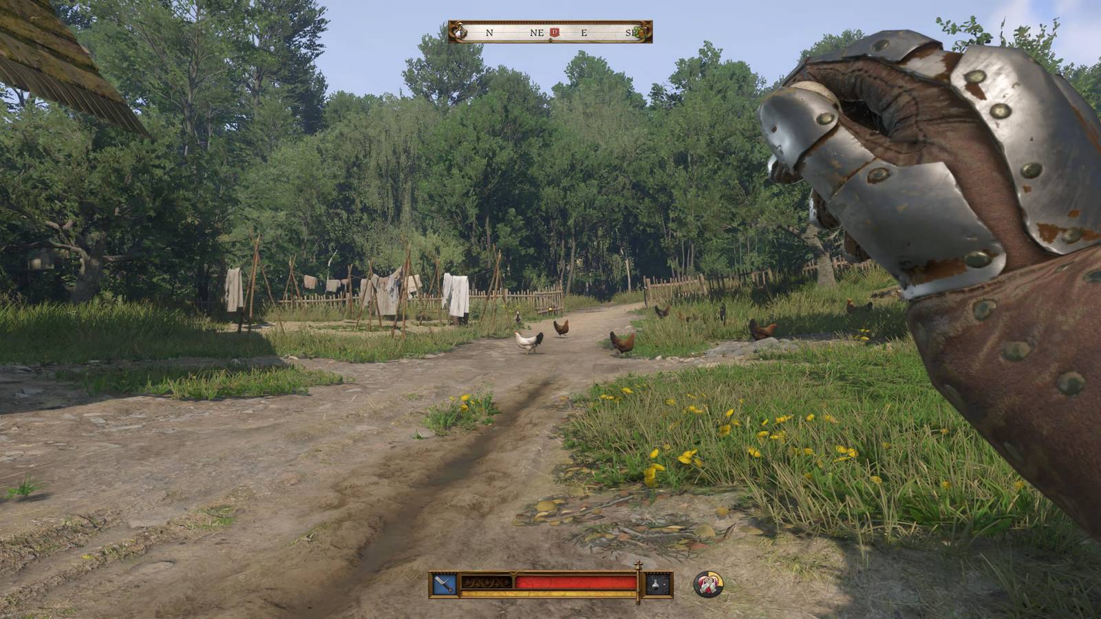 The Player Holding A Rock About To Throw It