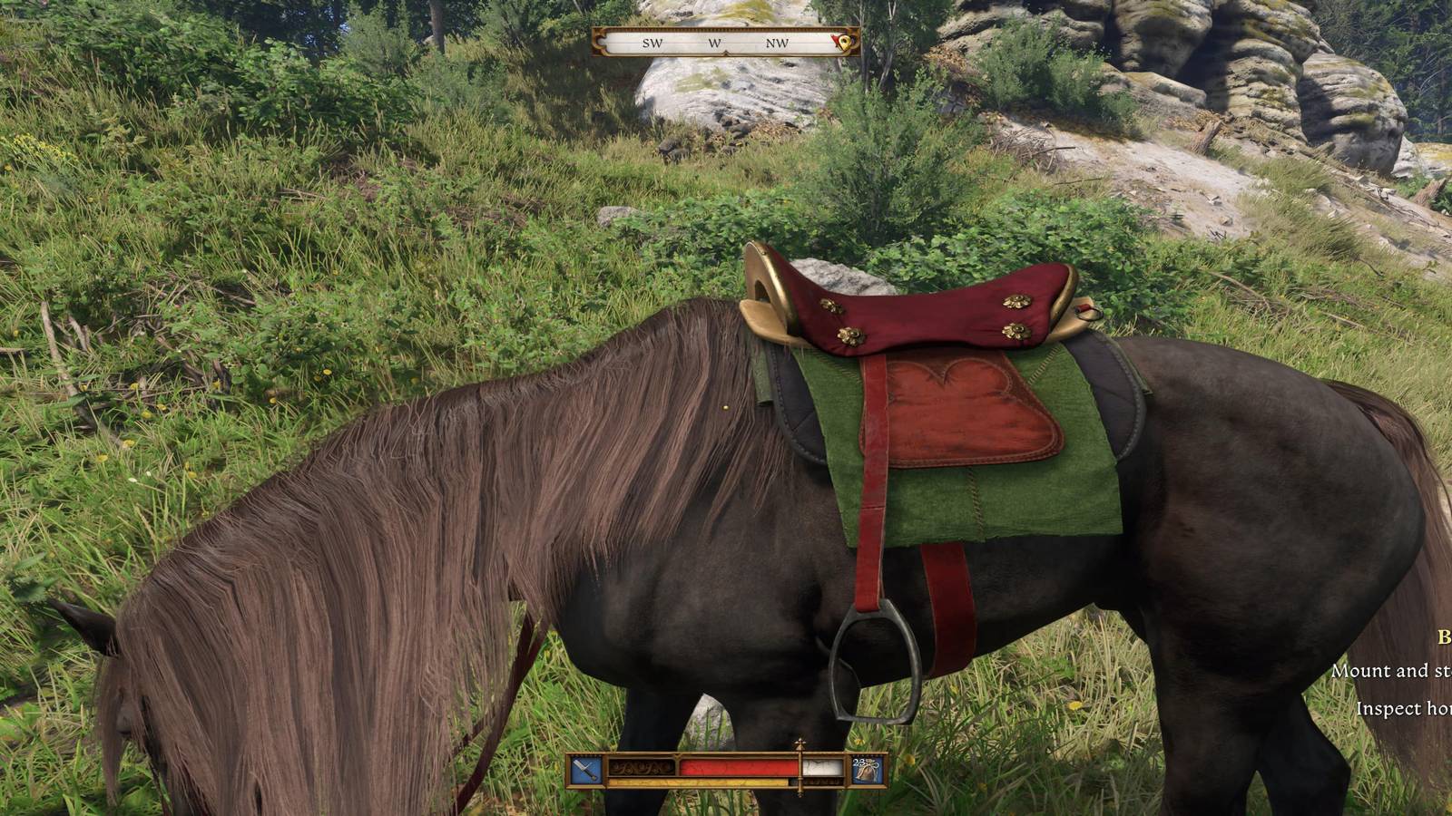 The Player About To Mount A Stolen Horse