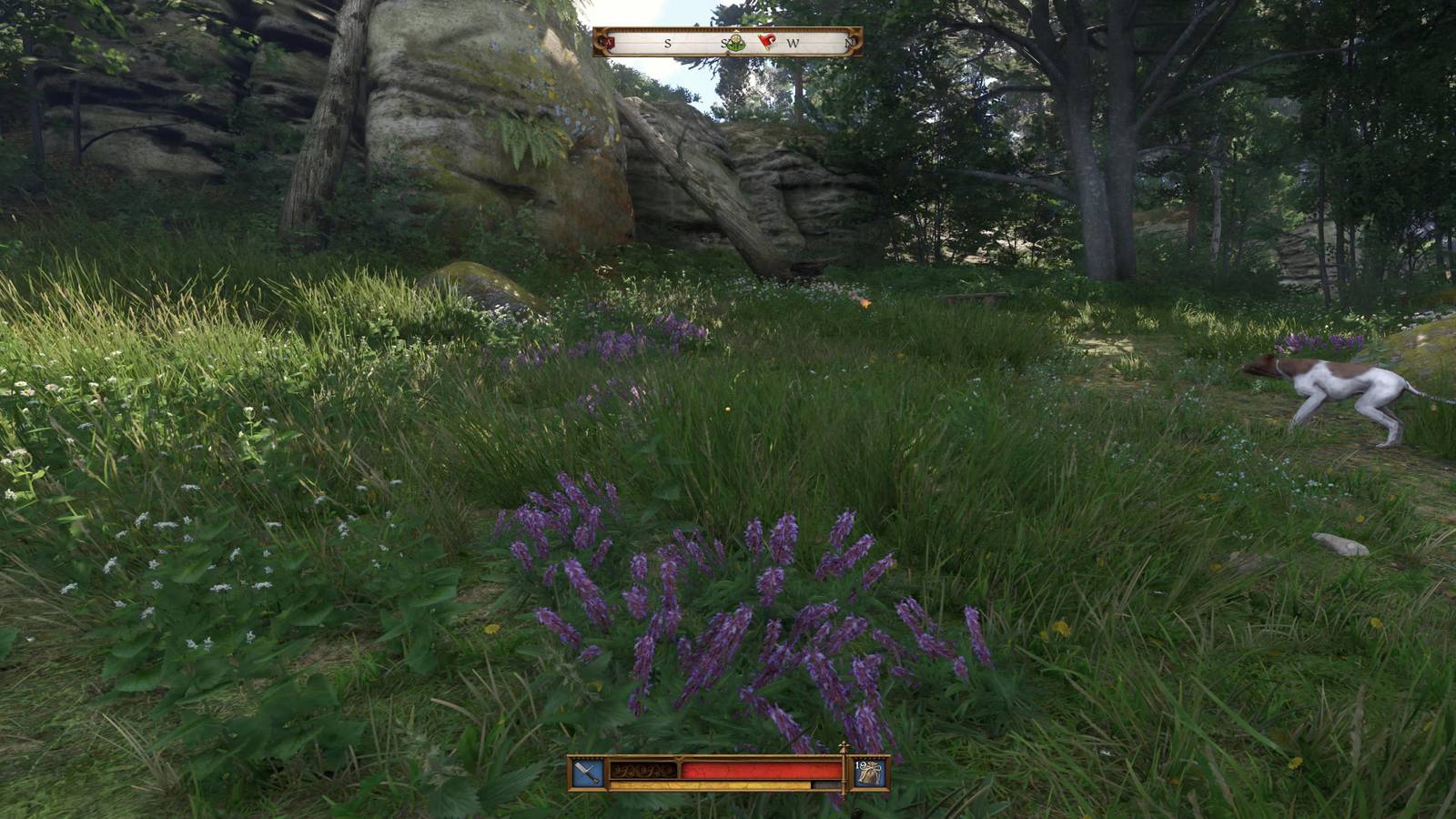 The Player Standing Over A Patch Of Sage 