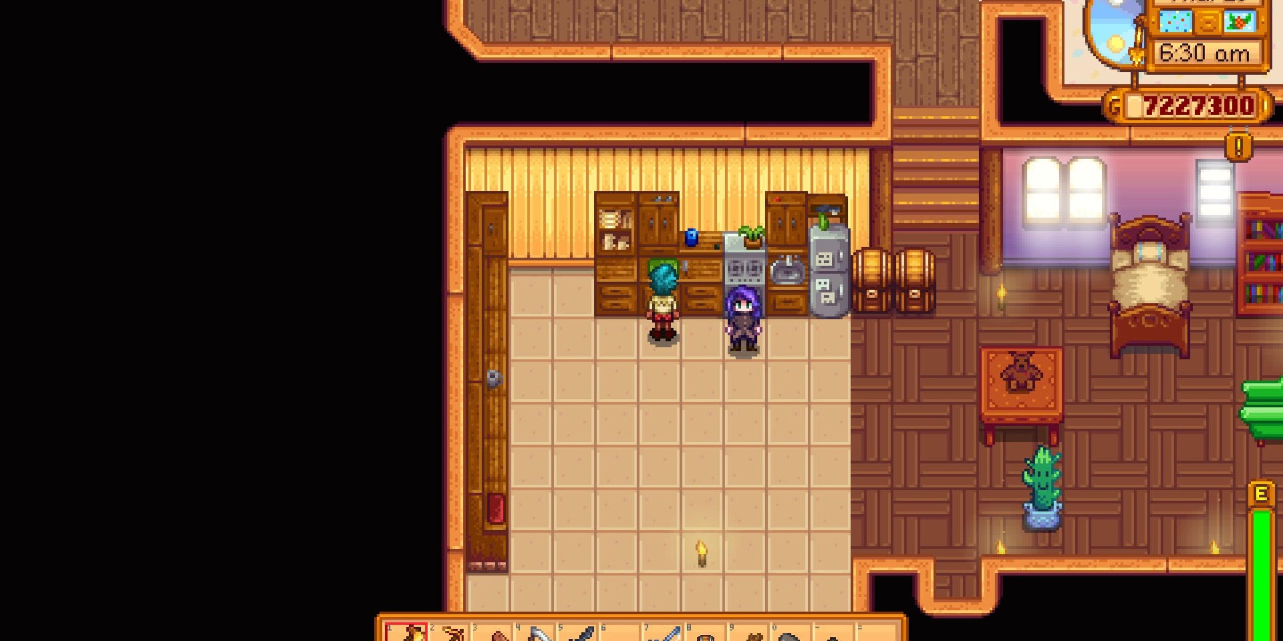 Kitchen Stardew Valley