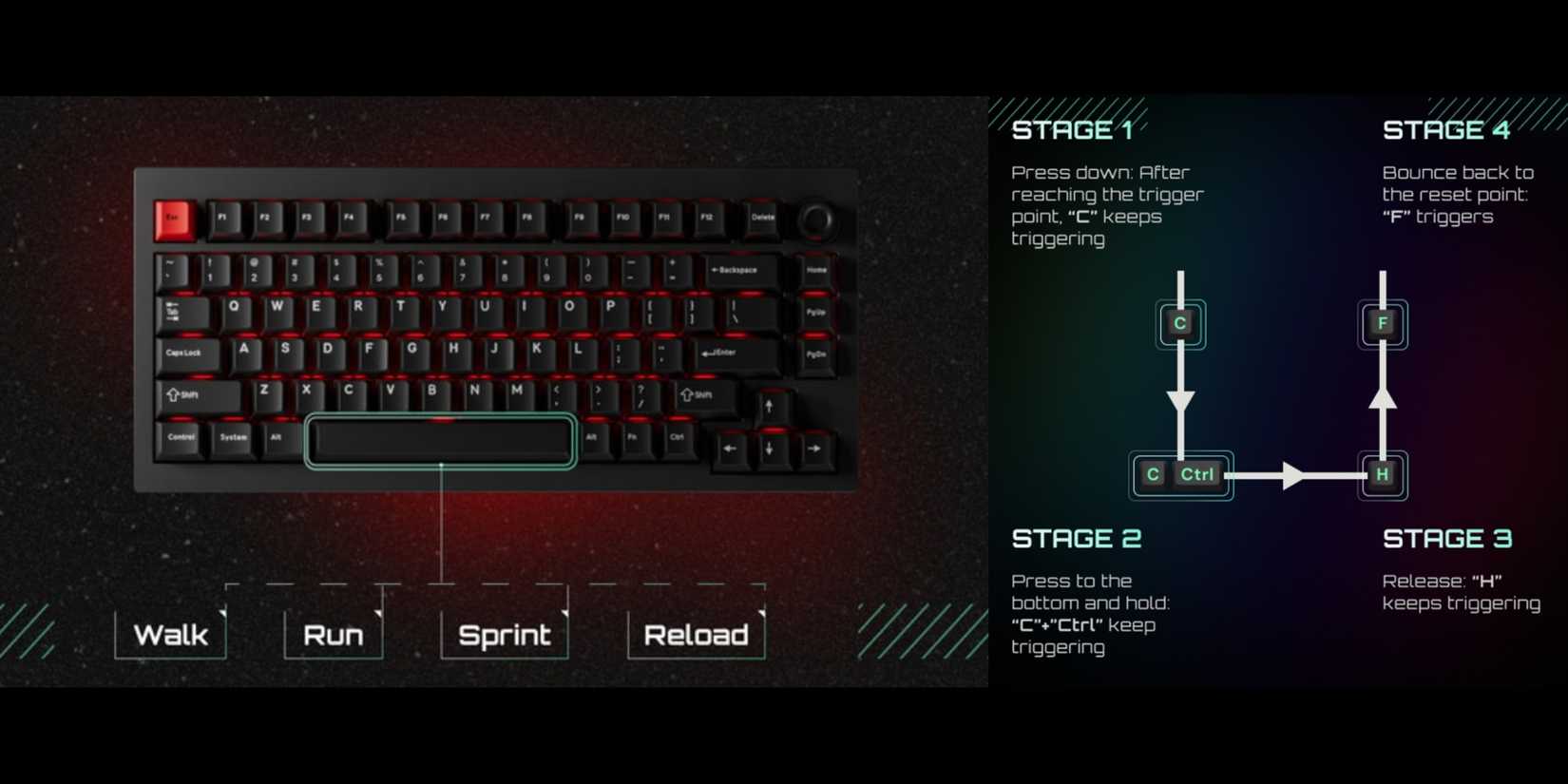 L5 HE Acutation Points