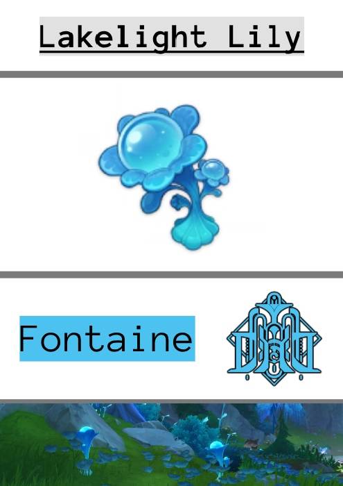 An infographic of the lakelight lily, showing it in the wild and fontaine's emblem