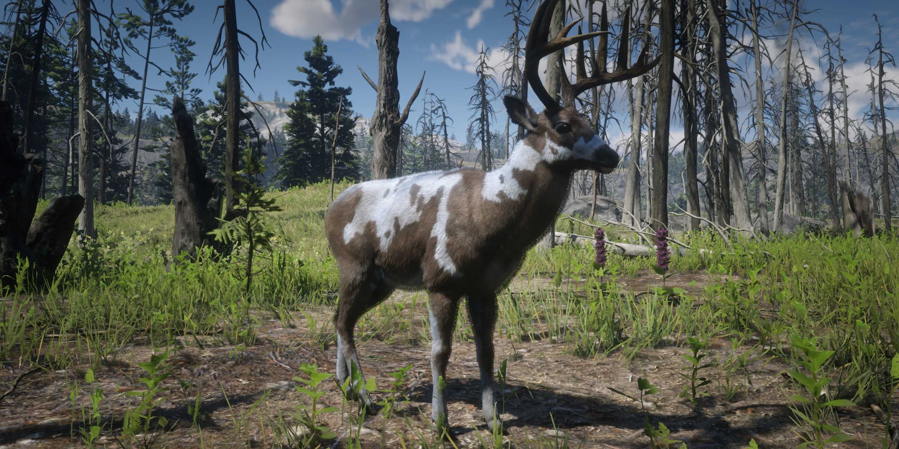 Legendary Bck Rdr2 Red Dead Redemption 2: All Legendary Animals, Ranked by Difficulty