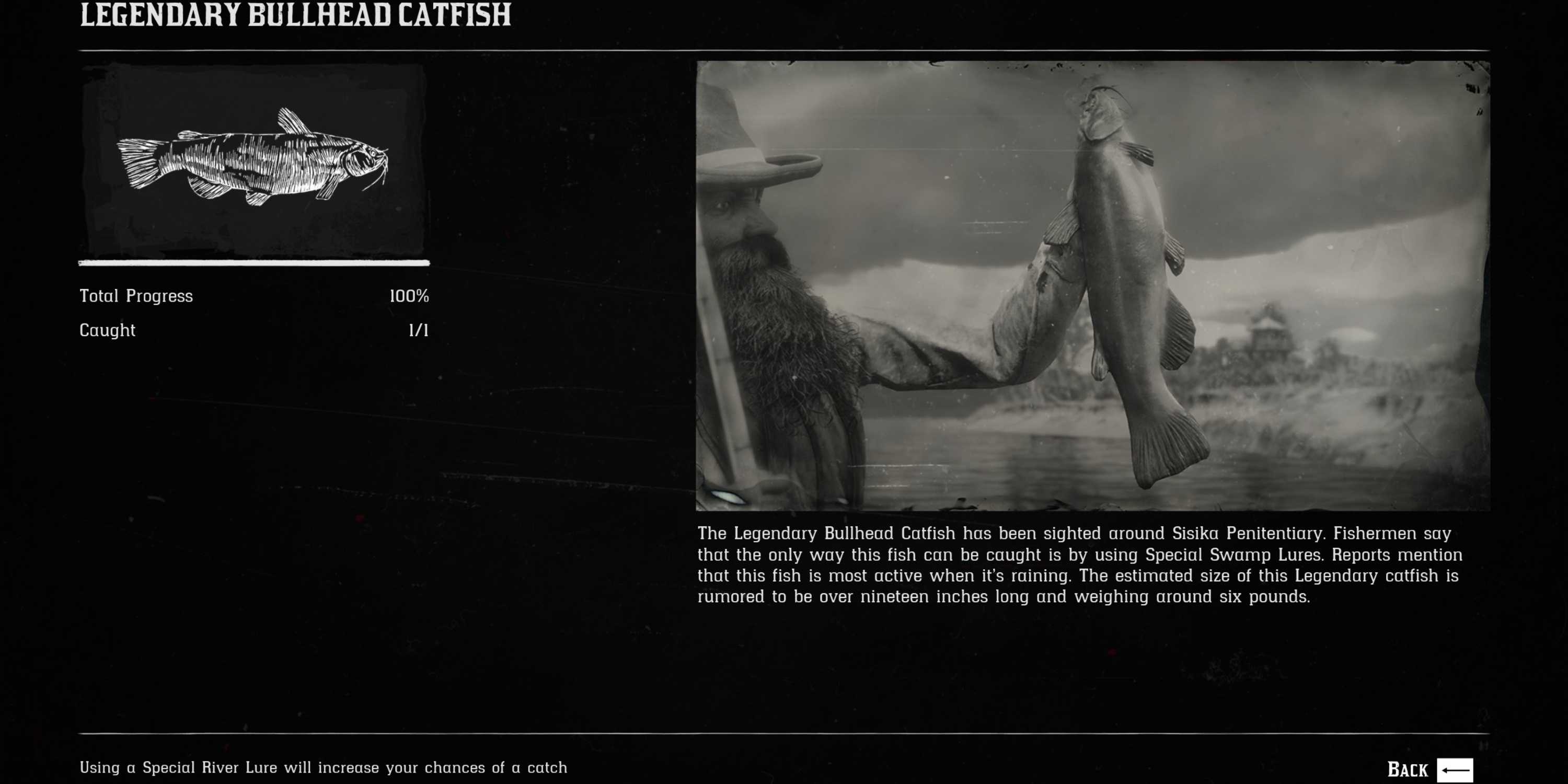 Fish Compedium Rdr2 Red Dead Redemption 2: All Legendary Fish Locations